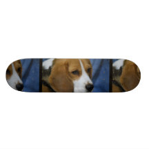 beagle-31.jpg custom skate board