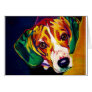 Beagle #5