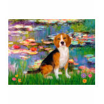 Beagle 7 - Lilies 2 t-shirts