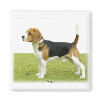 Beagle 9J27D-02 Refrigerator Magnet