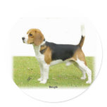 Beagle 9J27D-02 Stickers