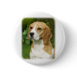 Beagle 9K34D-17 Pinback Button