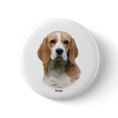 Beagle 9Y313D-038 Pin by TraffordPhotos