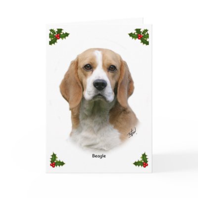 Beagle 9Y313D-038 by mtrafford