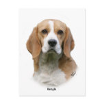 Beagle 9Y313D-038 Post Card