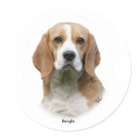 Beagle 9Y313D-038 Stickers