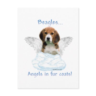 Beagle Angel by GreyWolfCreation
