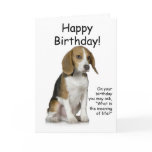 Beagle Birthday Card