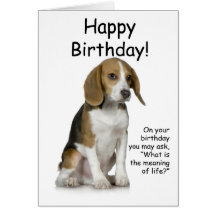 Beagle Birthday Card
