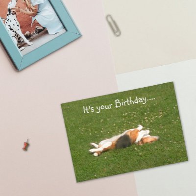 Beagle Birthday Card (Funny) by Mousefx
