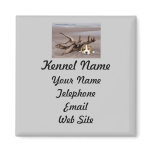 Beagle Breeder Magnet
