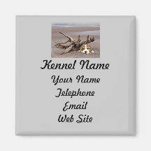 Beagle Breeder Magnet