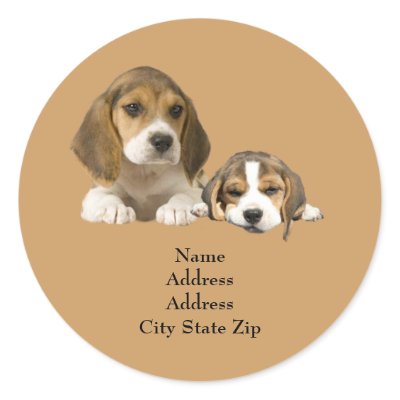 Beagle Buddies Address Label by normagolden