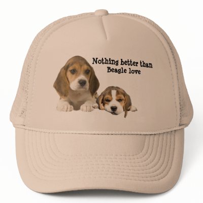 Beagle Buddies Hat by normagolden