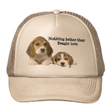 Beagle Buddies Hat