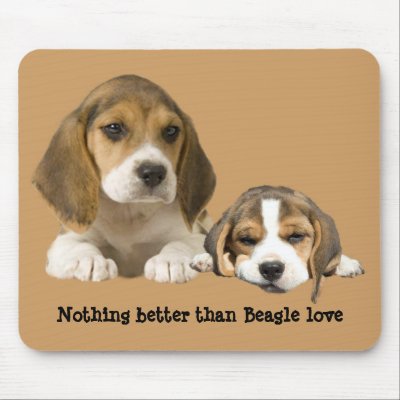 Beagle Buddies Mousepad by normagolden