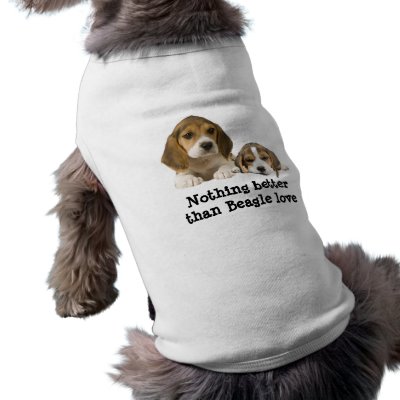 Beagle Buddies Pet Clothing by normagolden