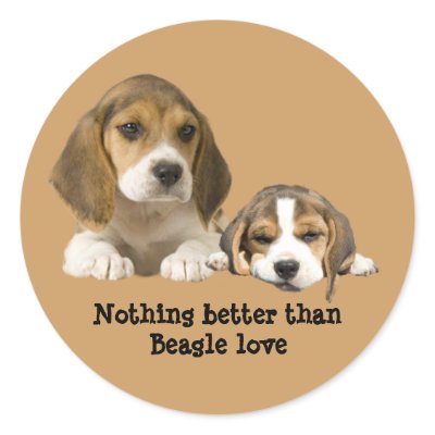 Beagle Buddies Sticker by normagolden