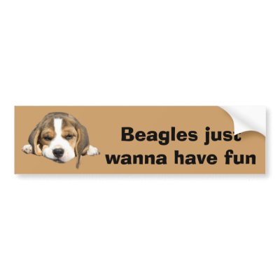 Beagle Bumper Sticker by normagolden