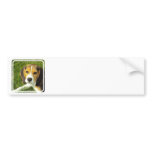 Beagle Bumper Stickers