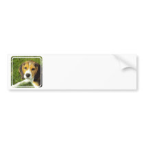 Beagle Bumper Stickers