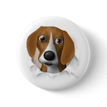 Beagle Busting Out