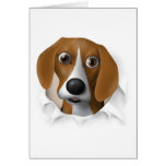 Beagle Busting Out