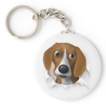 Beagle Busting Out