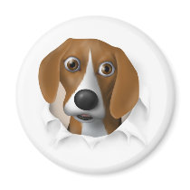 Beagle Busting Out