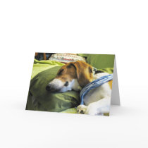 Beagle Christmas Card