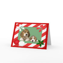 Beagle Christmas Card Frame