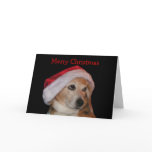 Beagle Christmas Card (Santa)