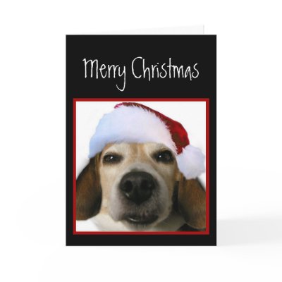 Beagle Christmas Card (Santa Hat) by Mousefx