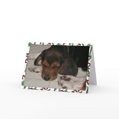 Beagle Christmas Card (Sleepy) by Mousefx