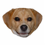 Beagle Christmas Ornament Photo Cutouts