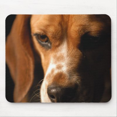 Beagle close up mouse pad by denvercris