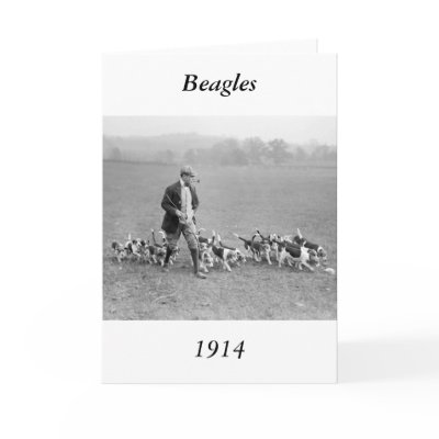 Beagle Club, 1914 Greeting Card by Photoblog
