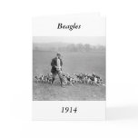 Beagle Club, 1914 cards