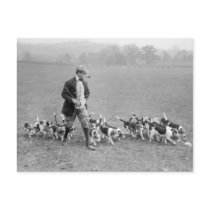 Beagle Club, 1914 Postcards