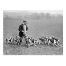 Beagle Club, 1914 Postcards