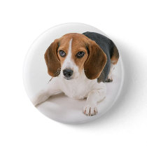 Beagle Dog Button