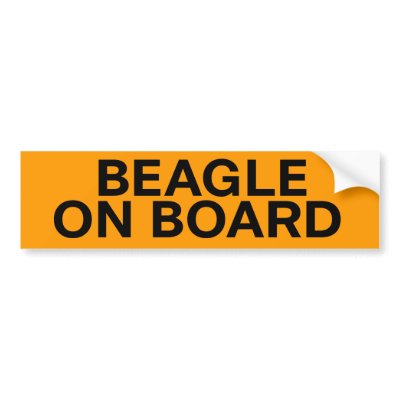 Beagle Dog Hound Remix Custom Bumper Stickers by mannysThoughts