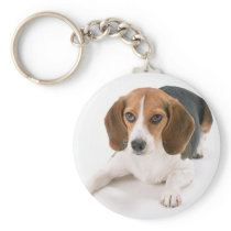 Beagle Dog Keychain