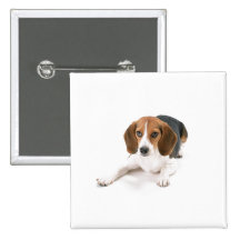 Beagle Dog Pin