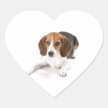 Beagle Dog Stickers