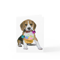 Beagle Easter