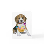 Beagle Easter cards