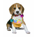 Beagle Easter t-shirts