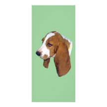 Beagle Gift Rack Card