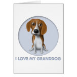 Beagle Granddog